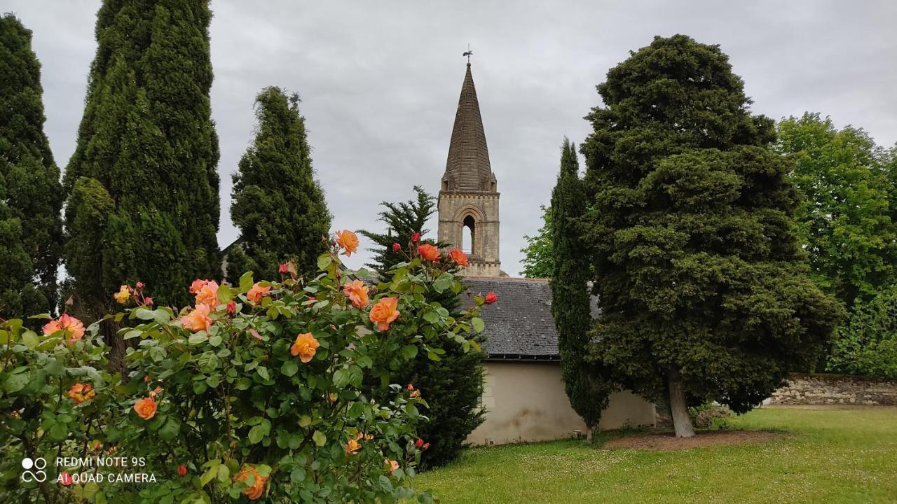 L'Angeline Bed and Breakfast Gennes-Val-de-Loire Eksteriør billede